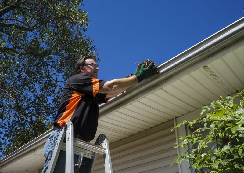 Cleaning a Residential Gutter System
