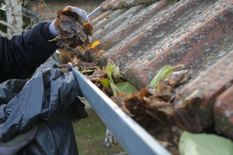 Close-up of Gutter Debris Removal