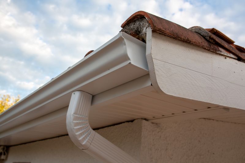 Gutter Maintenance