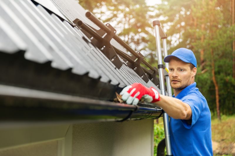 Expert Gutter Maintenance